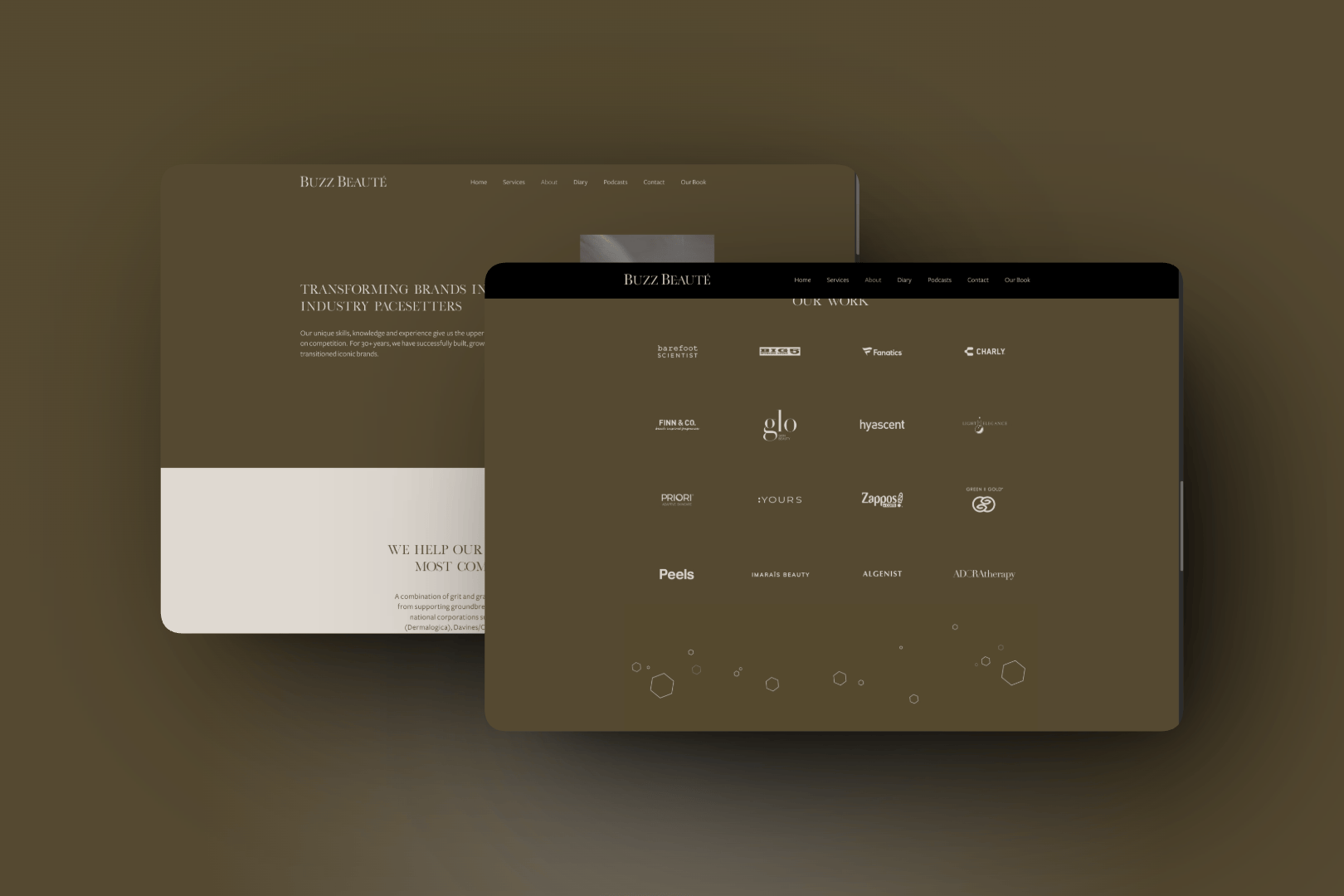 Project asset 8