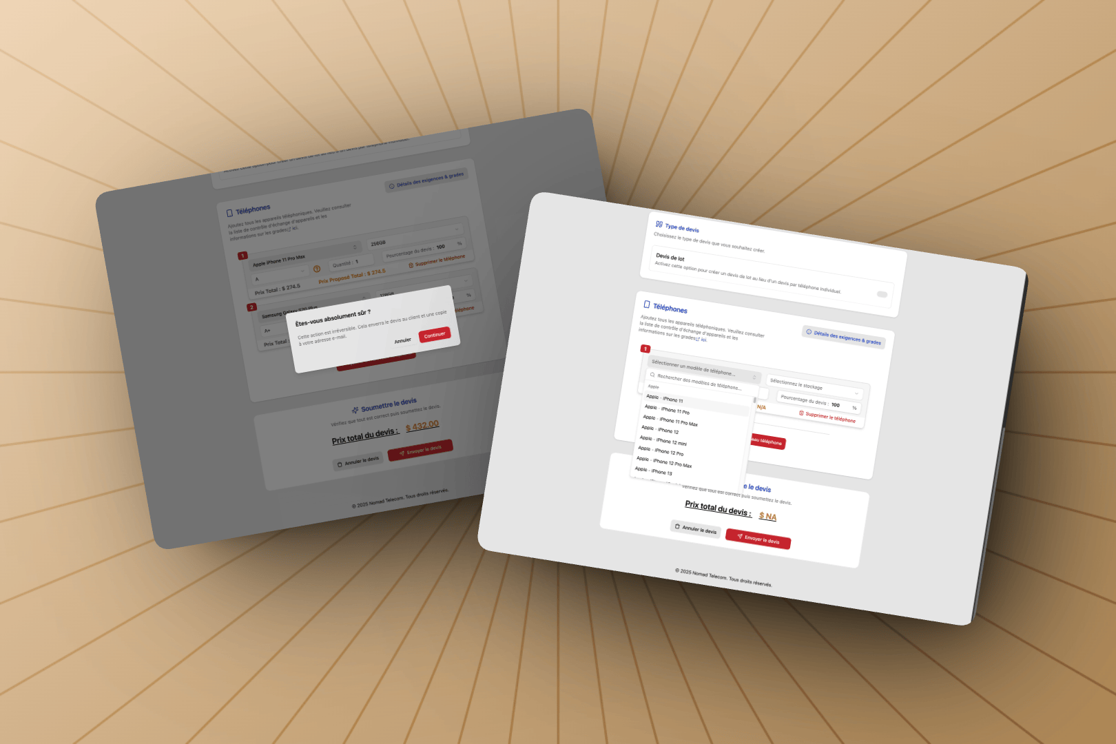 Project asset 4