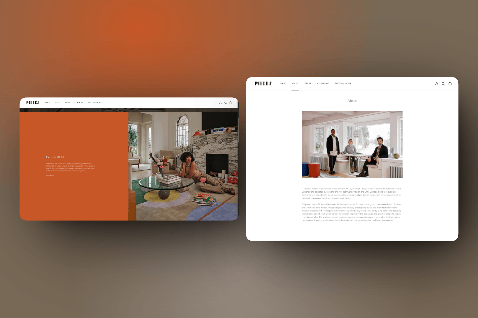 Project asset 9